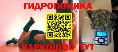 Альфа ПВП Кимры