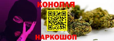 МДПВ Кингисепп