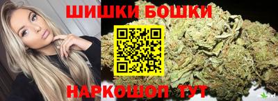 МДПВ Кингисепп