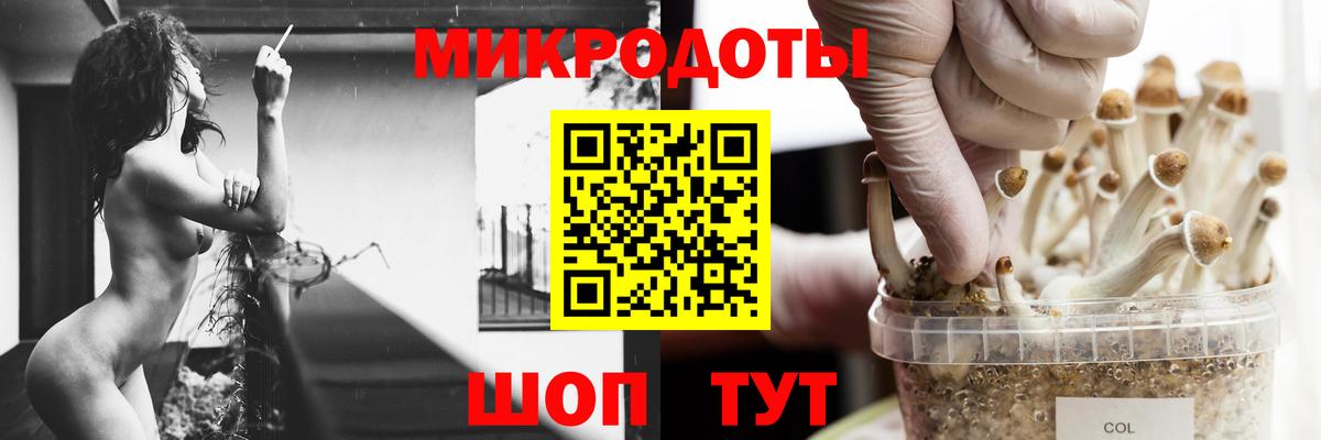 Галлюциногенные грибы ЛСД Черногорск